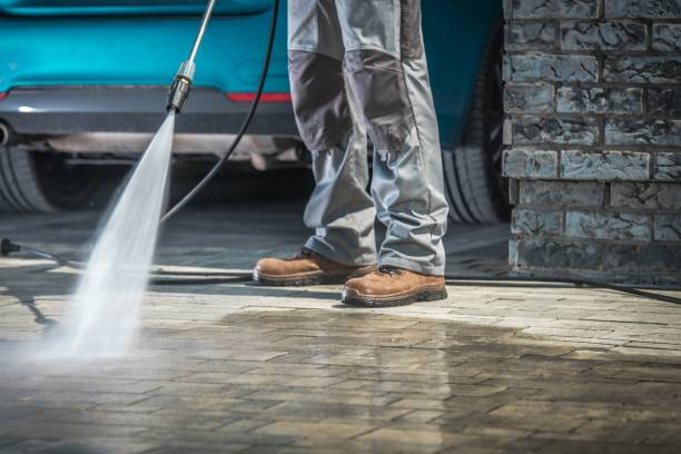 Best Pre-Holiday Cleaning  in Harvard, IL