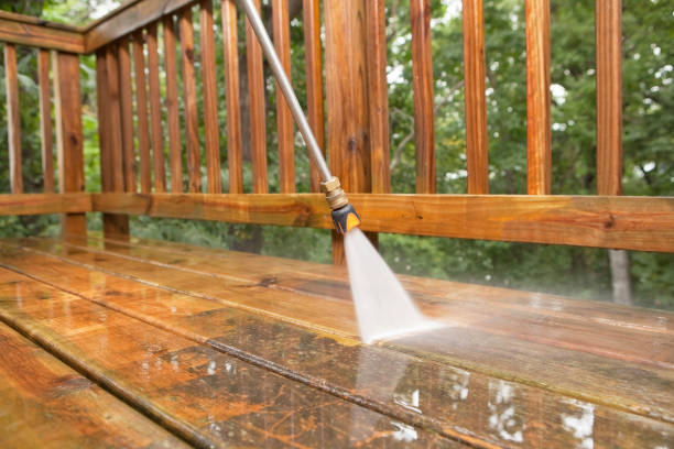 Best Solar Panel Cleaning  in Harvard, IL